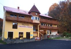 Hotel Transilvania , Baile Balvanyos