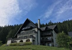 Pensiunea Bucovina Lodge , Vama