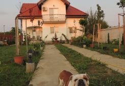 Blue Sky House , Balotesti Dumbraveni , Ilfov , Balotești