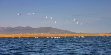 Cazare in Dobrogea