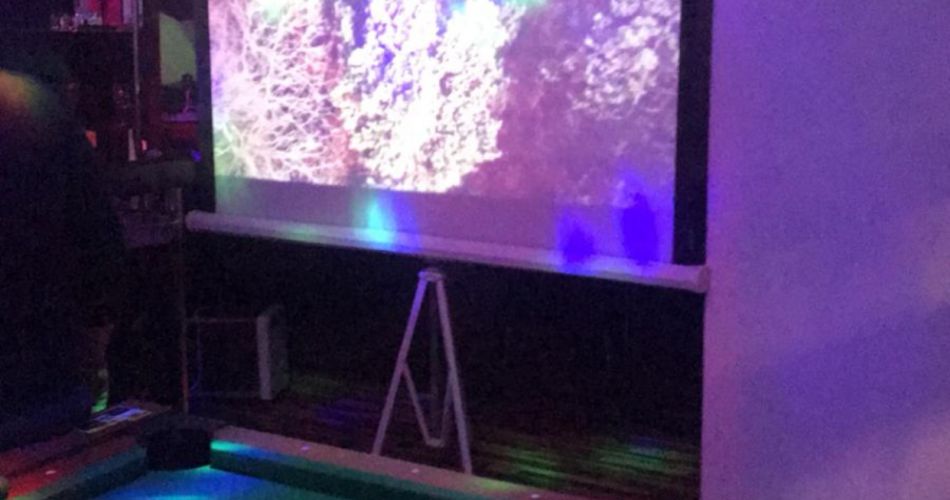 Video-proyector - Cabana BIZO Baile Figa